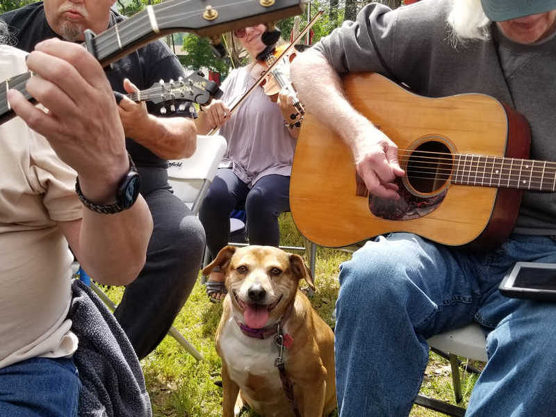 20230421_113525_800x600